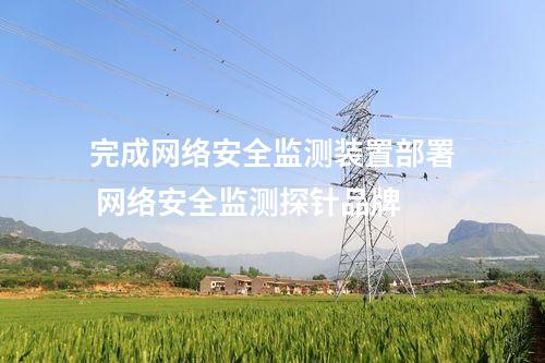<a href=//www.eznab.com/info/2.html target=_blank class=infotextkey>网络安全监测装置</a>制 网安 网络安全监测探针 价格