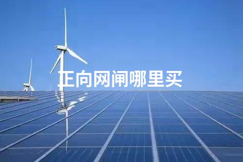 正向网闸哪里买