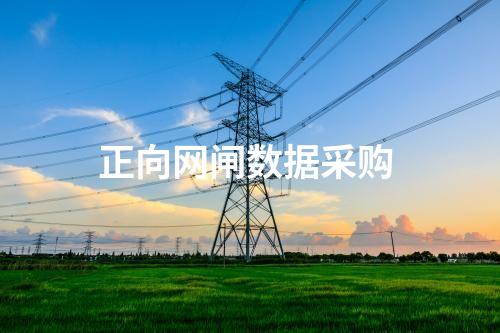 正向网闸数据怎么样